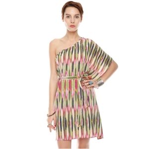 Charlie Jade Silk One Shoulder Drape Dress